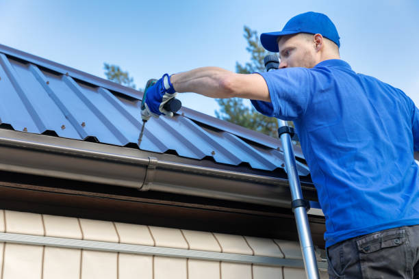 Best Roof Moss and Algae Removal  in Rush City, MN