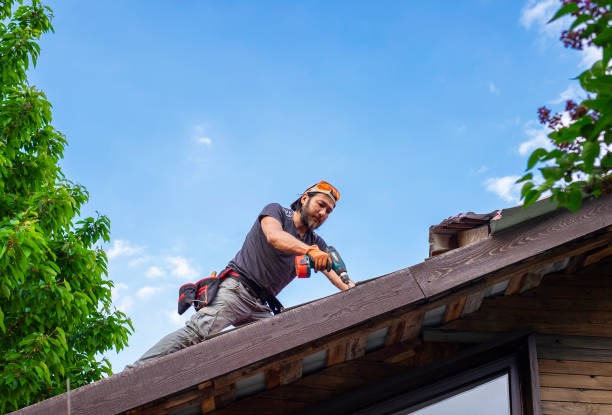 Best Metal Roofing Installation  in Rush City, MN